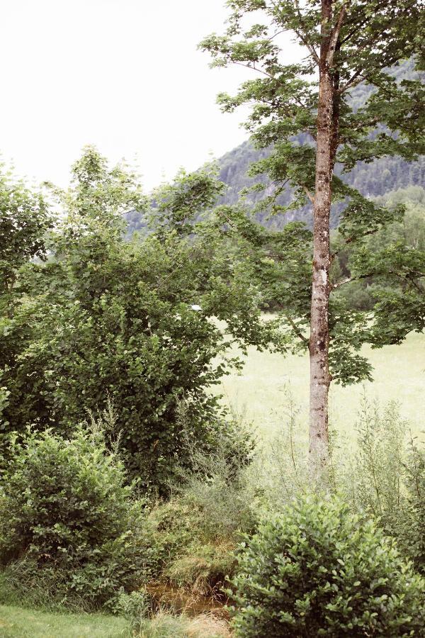 Bachbett - Modernes Gaestehaus Im Salzkammergut Bad Ischl Eksteriør bilde